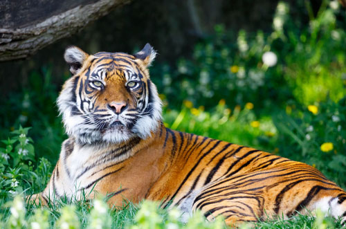 Hotel with Restaurant in Plymouth | Hotel with Bar Plymouth | Hotel with Conference Facilities Plymouth | Wedding Event Hotels Plymouth